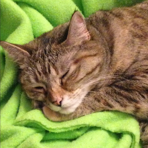 Meet your Posher, Catherine - Picture 7 of 8